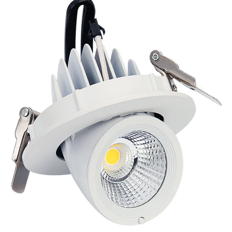 Trunk LED Downlight