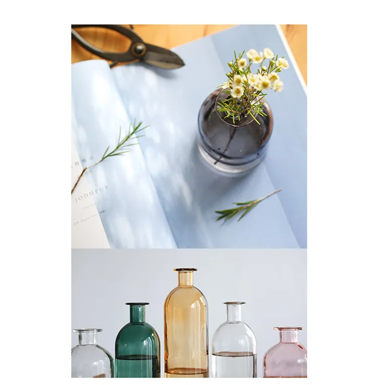 INS Small Mouth Glass Transparent Vase Nordic Wind Dried Flower Vases Japanese Home Wedding Decoration Colorful Flower Vases