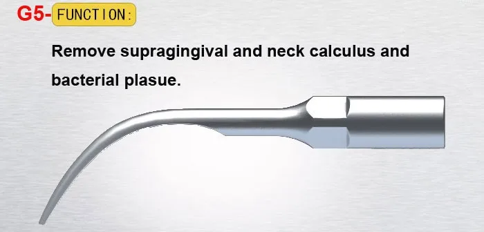 G5