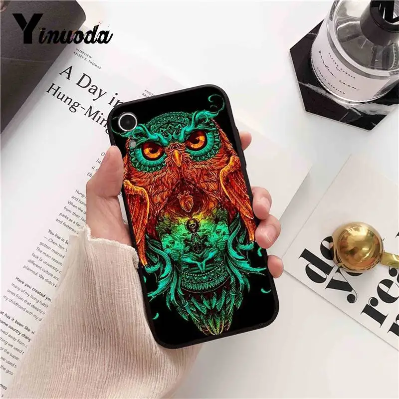 Cool  Owl  Cartoon Painted