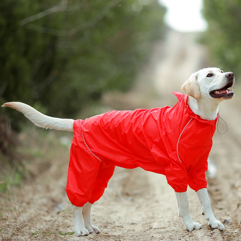 Capas de chuva para cães