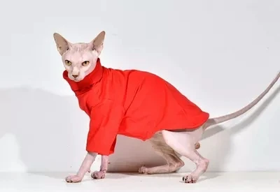 Свитер Sphynx из Корниша Рекс Devon Rex cat.ordinarycat двойная футболка с высоким воротником