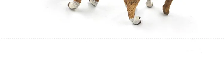 -10--DW-M-MY89-114-120_61