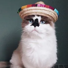 Новое поступление многоцветная соломенная шляпа для домашних животных собака кошка Мексиканская соломенная шляпа-сомбреро Регулируемая пряжка для домашних животных@ A