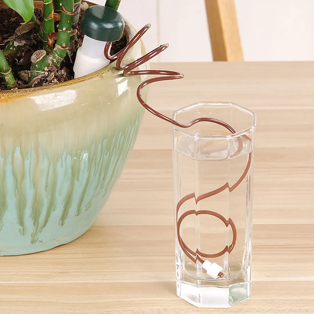Buy Plant watering garden watering system