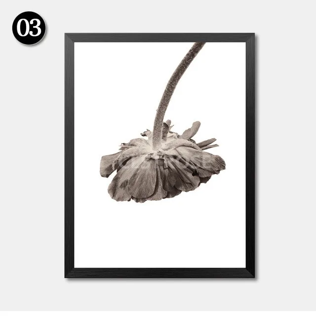 Autumn-Lotus-Posters-And-Prints-Wall-Art-Canvas-Painting-Modern-Wall-Pictures-DH2379.jpg_640x640 (2)