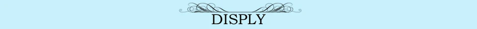 SISPLY