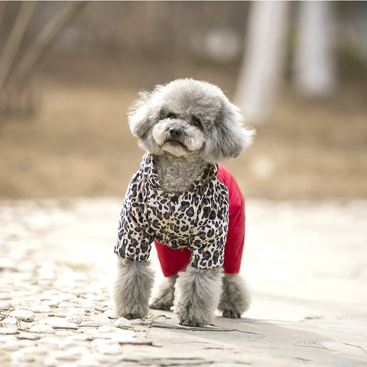 PETASIA/новая зимняя одежда для собак для маленьких собак, утолщенный пуховик из водонепроницаемой ткани, леопардовое пальто для чихуахуа, черного цвета, XXL