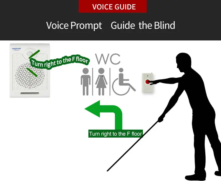 voice player (3)