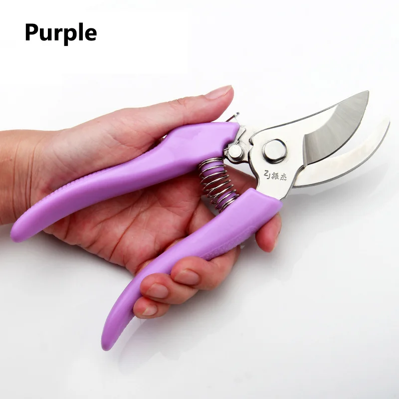 Pruning Scissors (8)