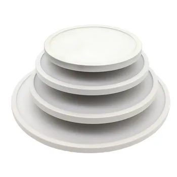 

Flat LED Panel Light, Dimmable Round Ultra-thin LED Recessed Downlight, Warm White/ White Panel Ceiling Lighting 12W 16W 22W 30W