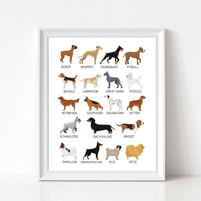 Dogs breed print