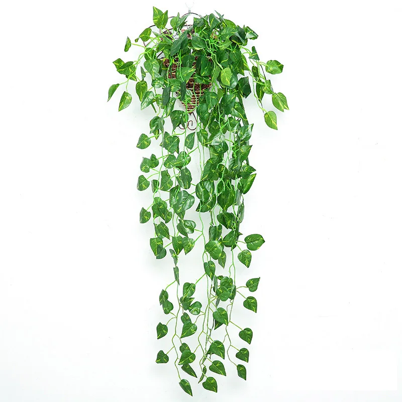 green dill leaves