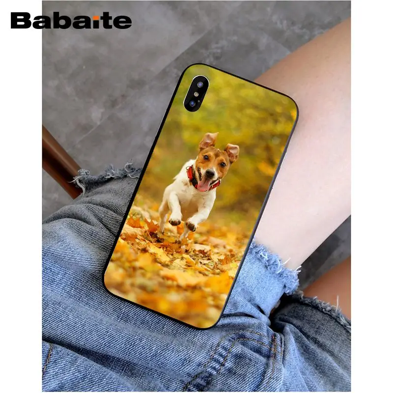 8 Babaite I love Jack Russell Terrier pop dog невероятный чехол для телефона для iphone 5 5s 5c SE и 6 6s 7 7plus 8 8plus чехол для телефона - Цвет: 8
