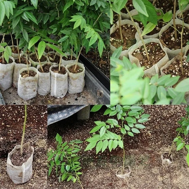100pcs/Pack Garden Supplies Environmental Protection Nursery Pots Seedling Raising Bags 10*12cm Fabrics Hot Sale