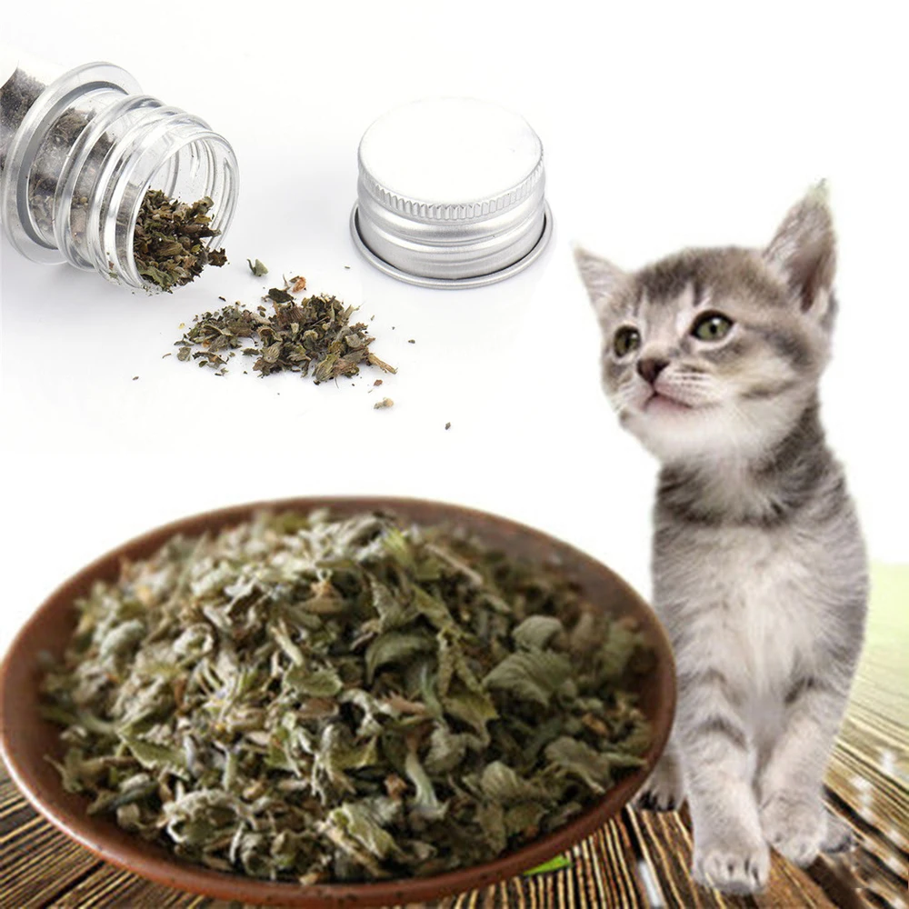 

1 Piece Natural Organic Premium Catnip Cat-Go-Crazy Menthol Flavor Catmint Pet Cat Treat Funny Toy Supplies for Cats Kittens Hot