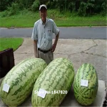 th