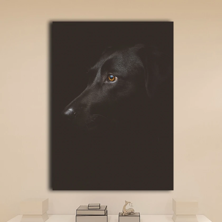 Télécharger gratuitement Images Slackinglifeforever Achat Toile Peinture Decorative Papier Peint le plus cool par