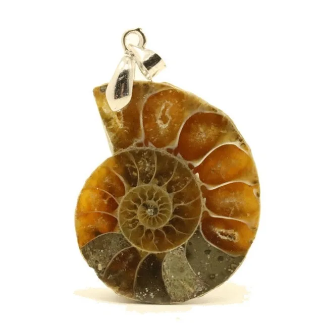 Natural jade snail slice of the color of the conch, DIY accessories and