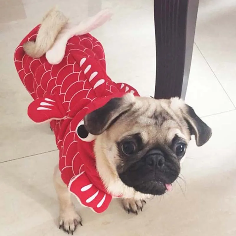 Funny Halloween pet cat dog Fish goldfish costume cosplay clothes