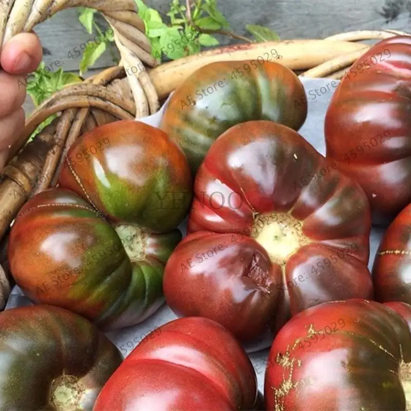 Большая распродажа! 200 шт. подвесной томат бонсай, Водолей исключен очень легкий интерес годовые Sementes органические овощи фрукты завод - Цвет: 8
