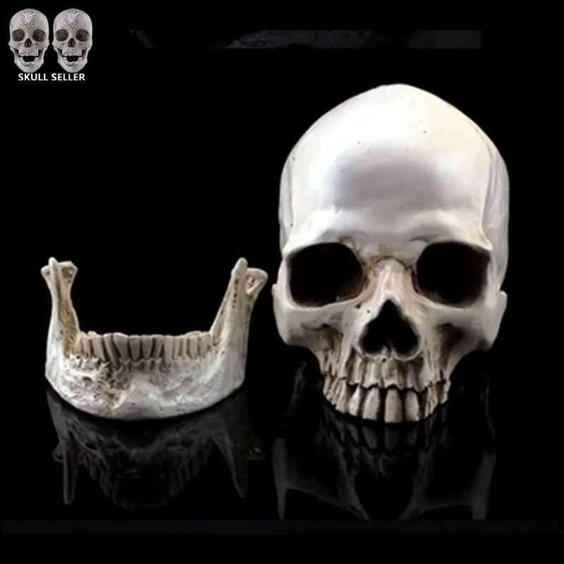 

Crafts Arts Crafts Simulation Model 1:1 Human Skull Resin Skulls Separate jaw Home Decoration Terror Cranium Heads CrossBones