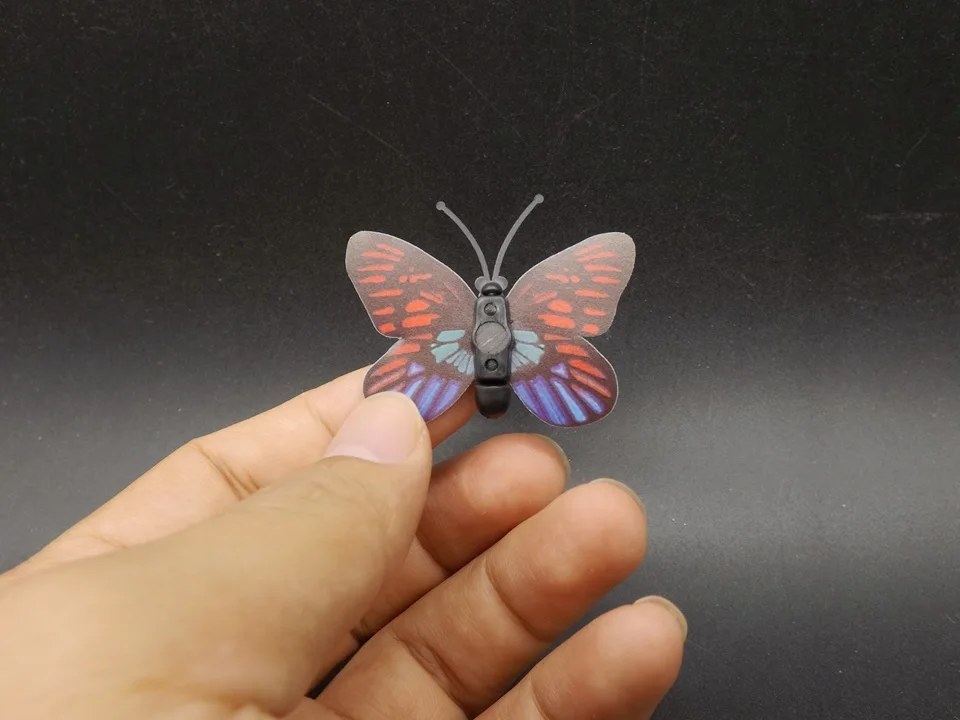I246-Butterfly (4)