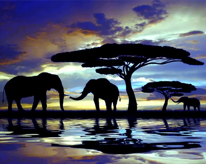 Sunrise Elephant