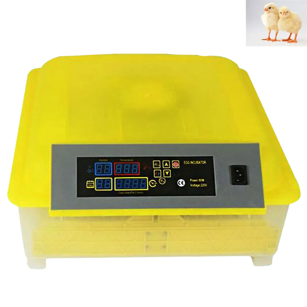 

Automatic 48 Egg Incubator Digital Clear Hatchers Auto Turning Household Poultry Chicken Hatchery Brooder Egg Hatching Machine