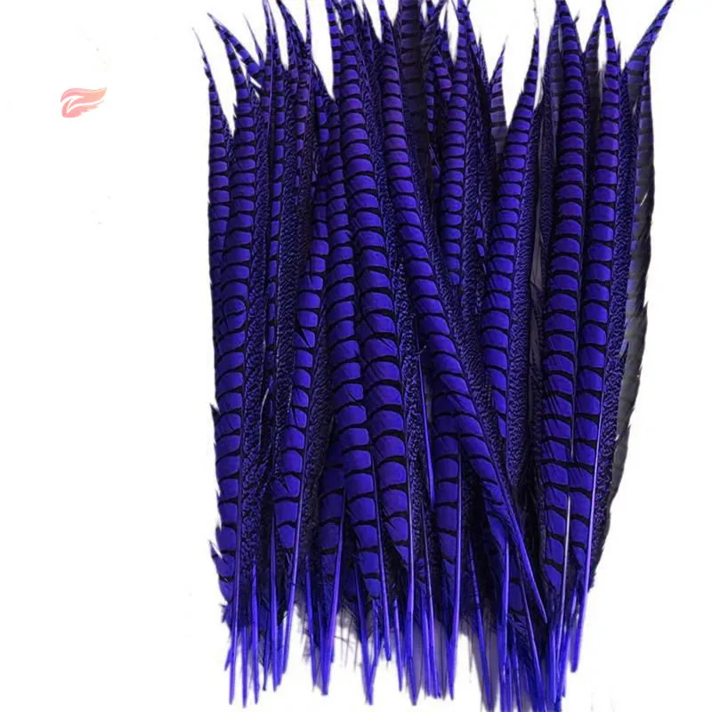 5947016994_124044218