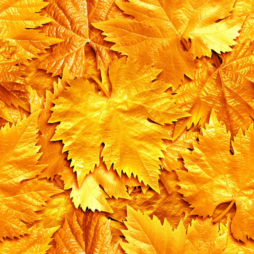 

10X10ft Vinyl Custom Autumn Photography Background Digital Photography Backdrops AQT-02
