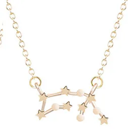 Ожерелье с подвеской в виде зодиака с астрологией для женщин, созвездие, череп Девы, Лев, серебряная цепочка, ожерелье для девочек, подарок на день рождения - Окраска металла: Aquarius