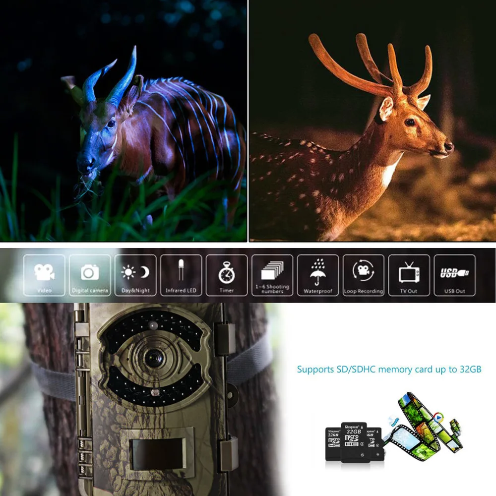 

Game Trail Hunting Camera 16MP 1080P FHD Infrared Night Vision Scouting Camera with 42pcs IR LEDs 2.4" TFT Color Screen