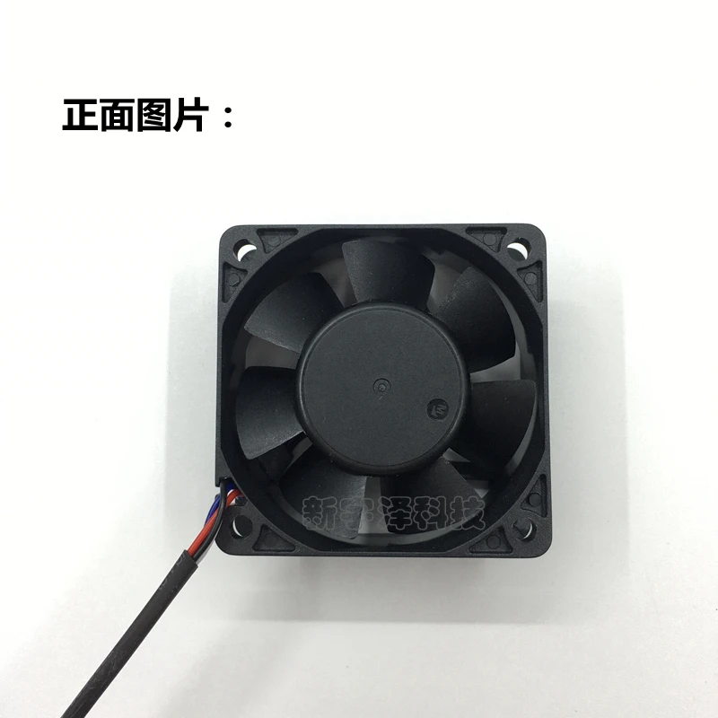 O1CN01En3q2X1pLb5DMTXIP_!!1030445344