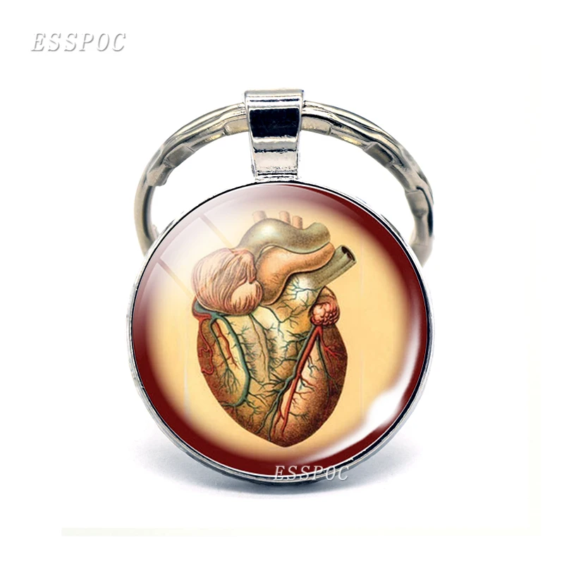 Анатомическое Сердце брелок серебряный брелок стеклянный металлический брелок знак сердцебиения кулон биологи подарки - Цвет: as show