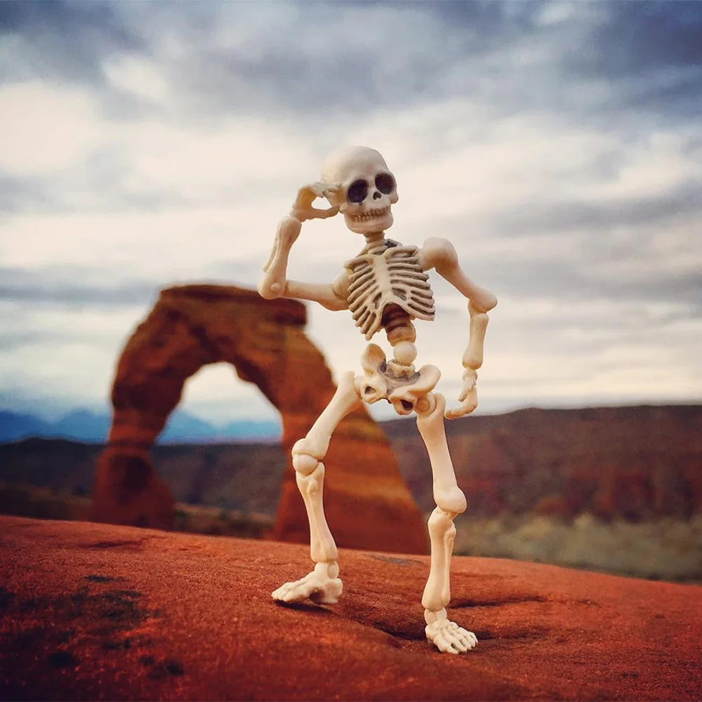

Skeleton Skull Body Mini Moveable Joint PVC Action Figure Model Doll Collectible Gift 9cm