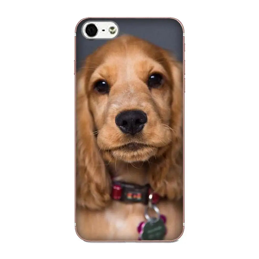 Милый чехол из ТПУ для Galaxy J1 J2 J3 J330 J4 J5 J6 J7 J730 J8 2015 2016 2017 2018 mini Pro Cocker Spaniels мягкие