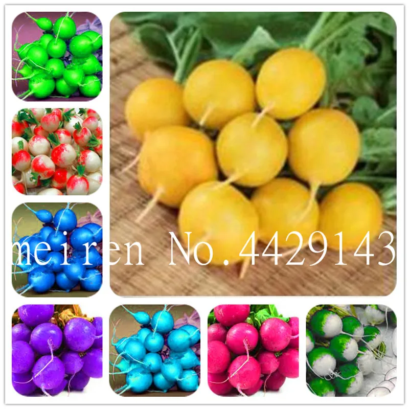 

Bonsai 200 Pcs Rare Rainbow Colors Radish Seedsplants Vegetable Juicy And Nutritious Early Spring Radish Plants for Home Garden