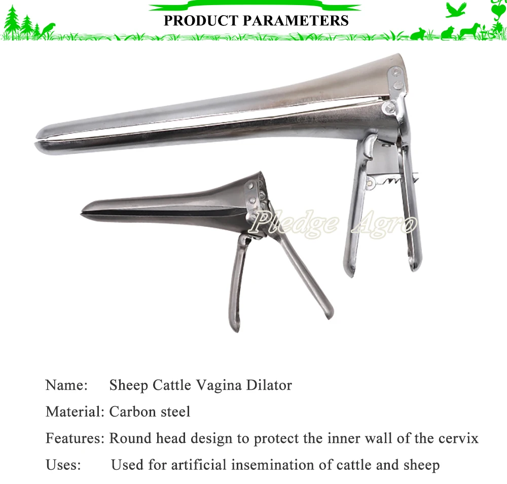 Vaginal speculum cattle sheep cow goat dilator artificial insemination equipment animal veterinary instrument farming animal