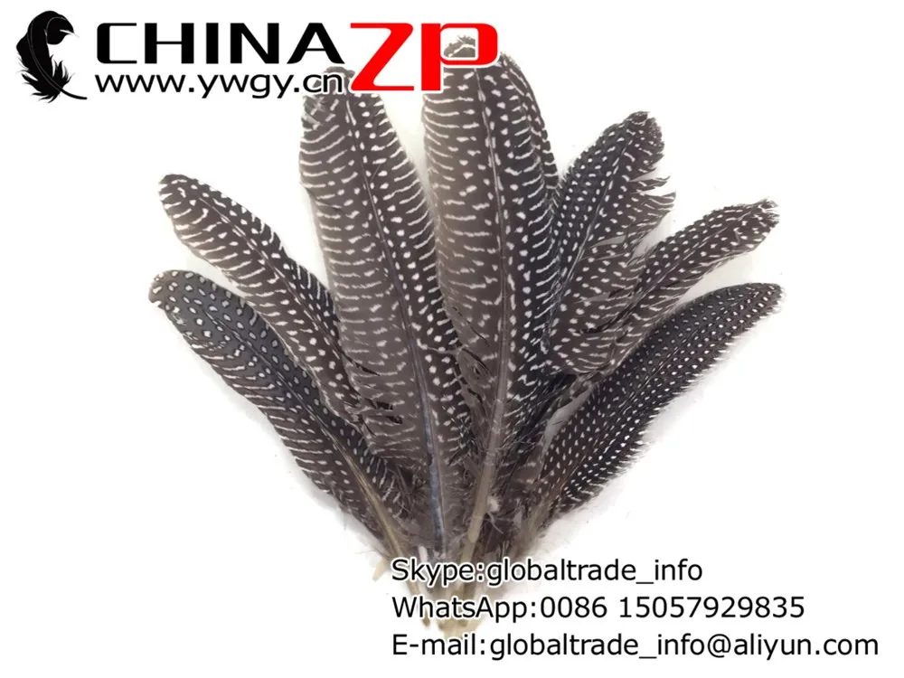 Natural Polka Dot Guinea Fowl Wing quills Wholesale Feathers (bulk