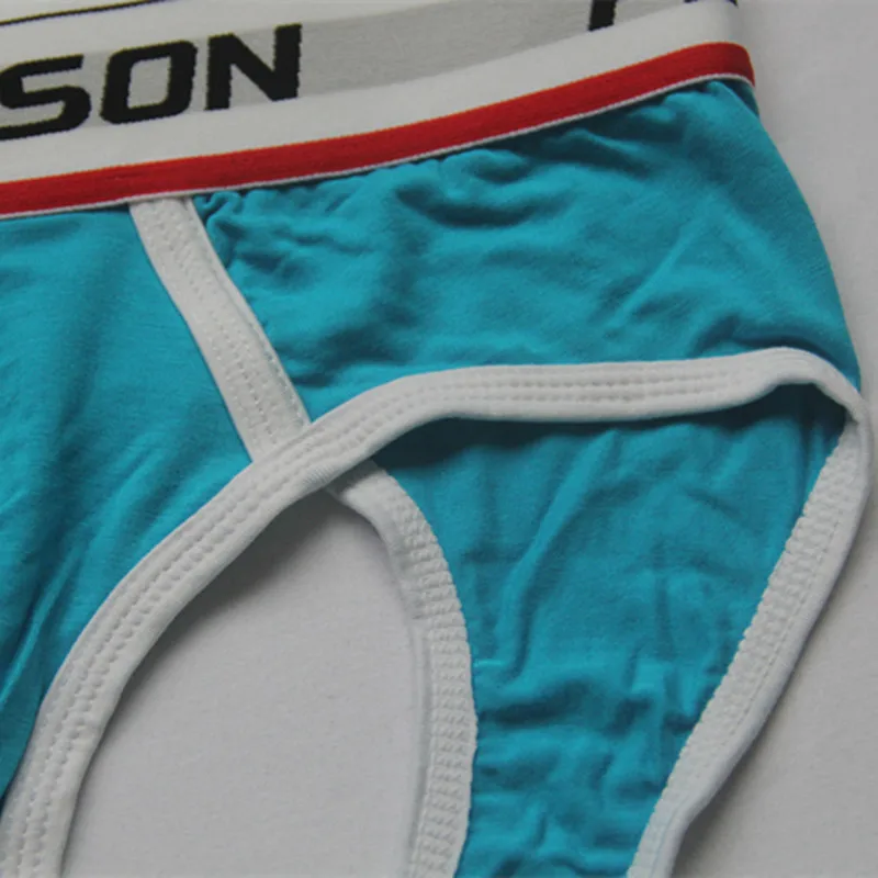 PINKY-SENSON-Brand-Modal-Hiphuggers-Three-Dimensional-Pouch-Sexy-Men-s-Underwear-Briefs-PS233 (1)