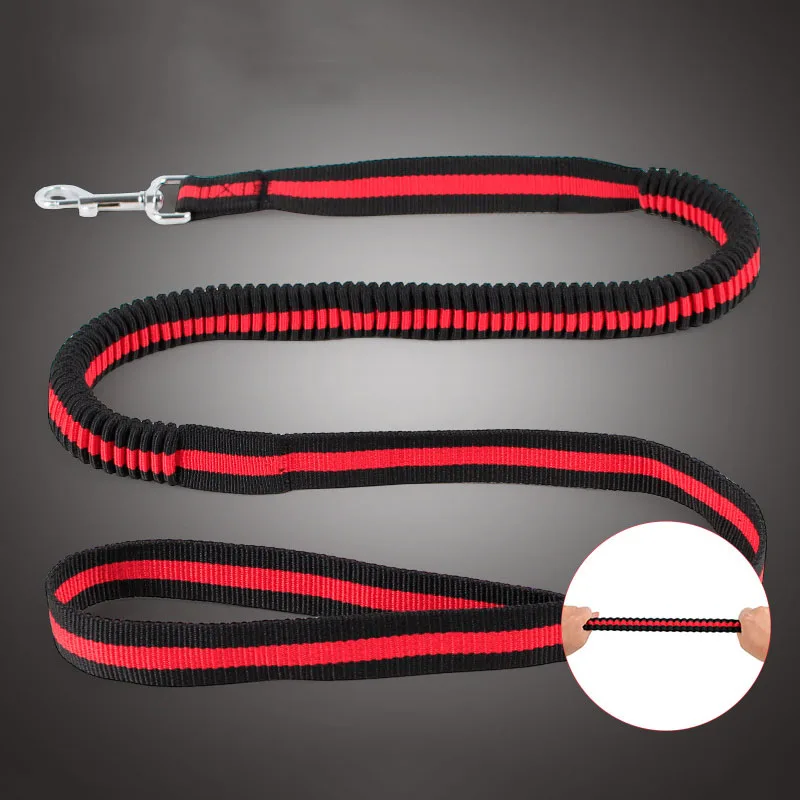 Buy 4 Feet Elastic Bungee Dog Basic Lead Shock