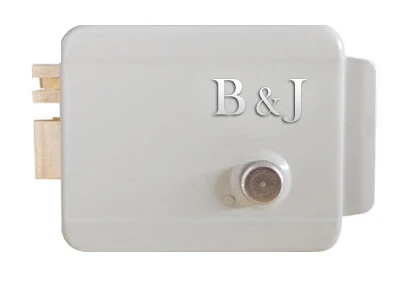 

Reasonable Price Electric Lock Electronic Door Lock for Door Access Control System Video Intercom /audio doorphone etc