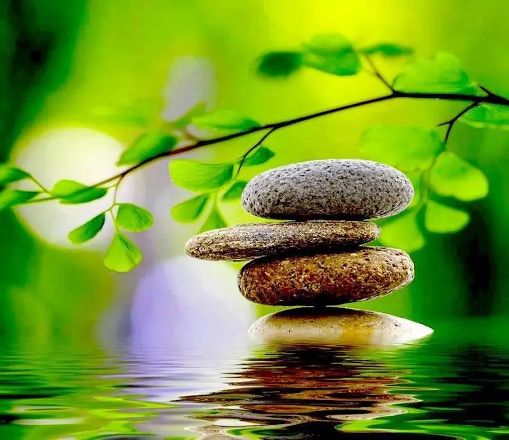 918277f4f4c9c406f56a3f794449e5b0--zen-gardens-nature-photos