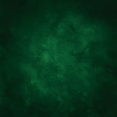10ft green old master style vinyl print photography backdrop for