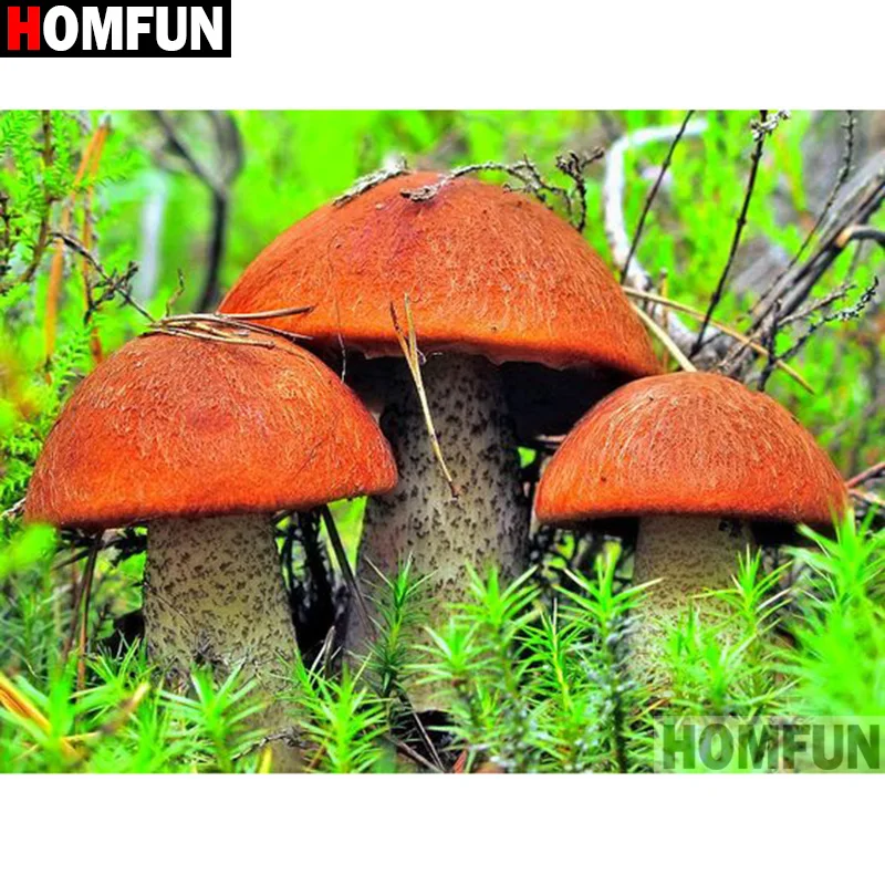 

HOMFUN Full Square/Round Drill 5D DIY Diamond Painting "Mushroom landscape" Embroidery Cross Stitch 3D Home Decor Gift A17585