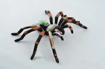

Assembly Animal Model Spider Anatomical Model Biological Anatomy Science Model Educational Science Toys Medical Anatomic Models