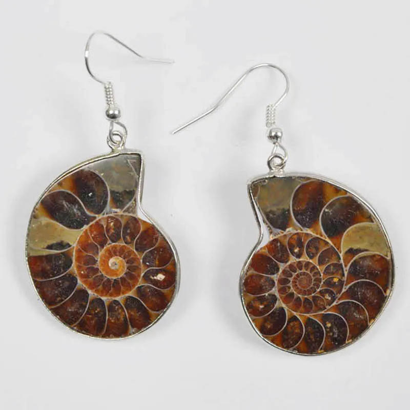 Orecchini Pendenti Con Perline Fossili Di Ammonite Gioielli Per Regalo Donna T134