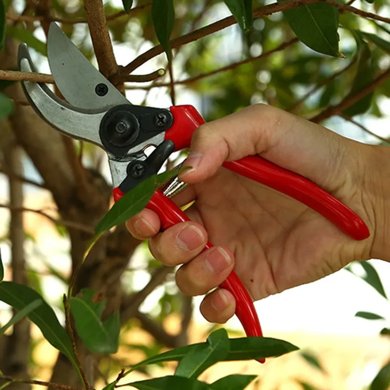 Hot Selling Pruning Shears Garden Bypass Pruners and Ergonomic Flower Cutter Grafting Tool Scissors Trimmer Cutter garden tool