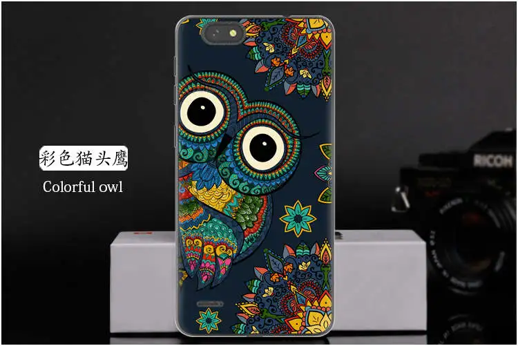  Colorful owl